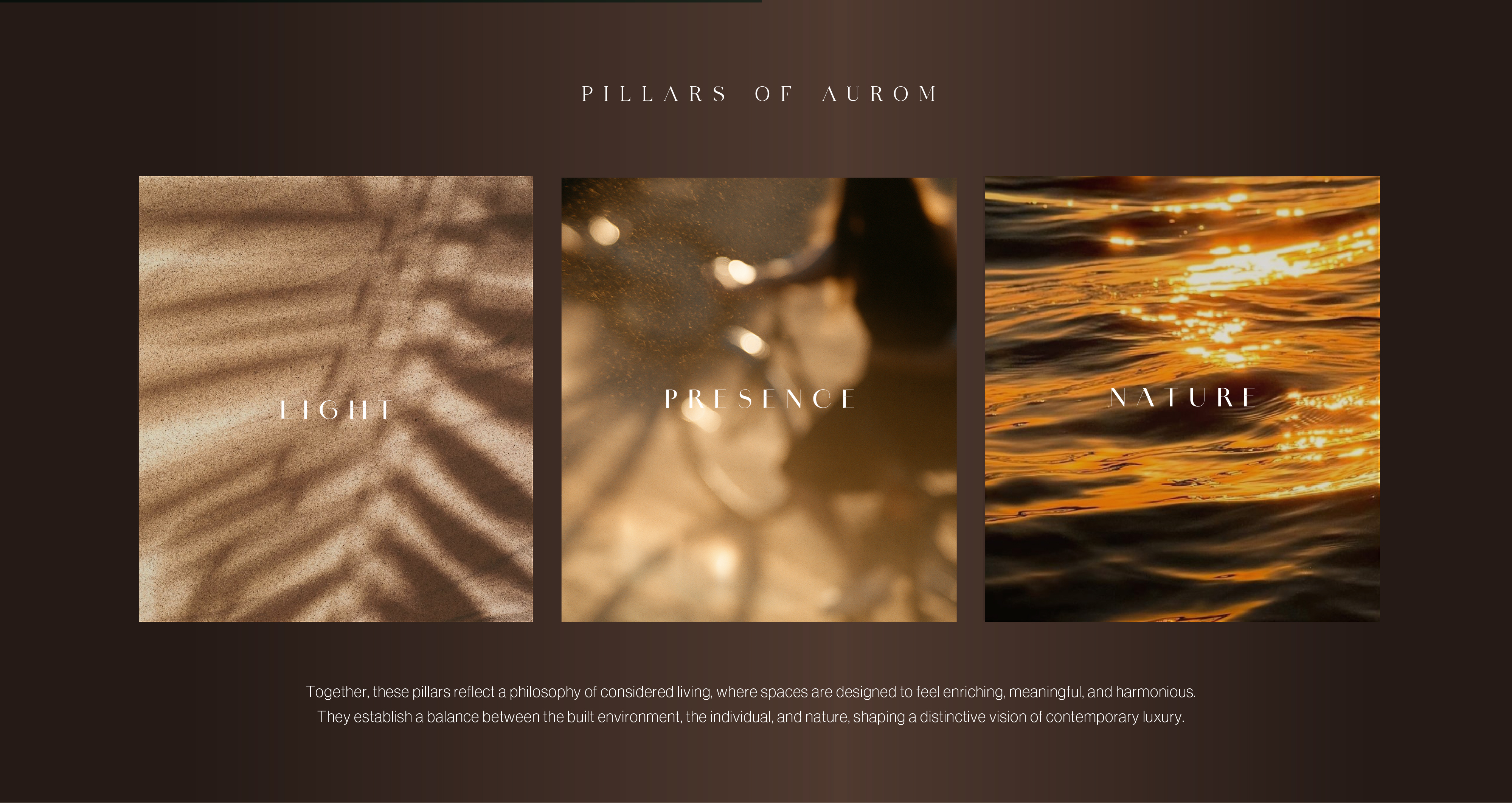 Aurom image 3.1