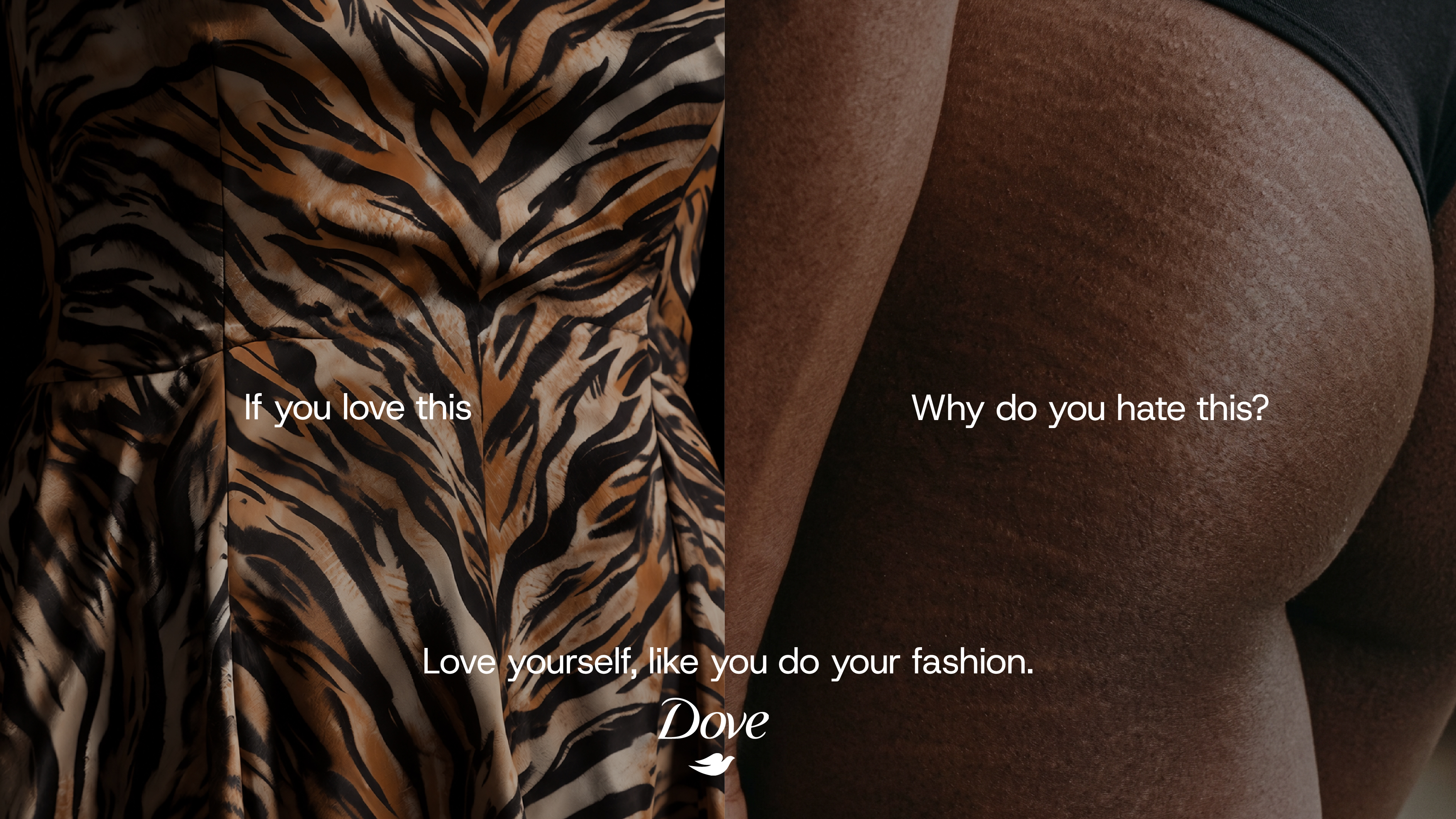 Dove - Why not? image 6.1